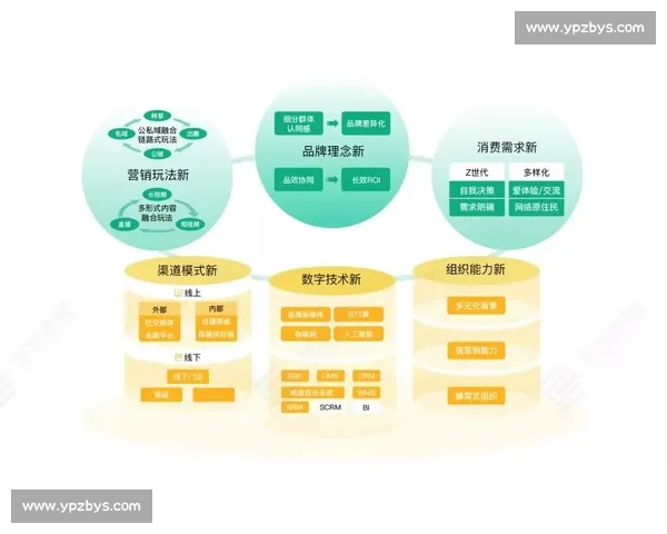 足球行业网络推广策略与品牌增长实战指南全流程解析与案例分享
