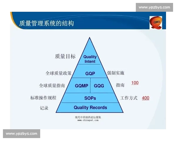 以动作规范为核心构建高效行为管理与执行标准体系 以动作规范为核心构建高效行为管理与执行标准体系